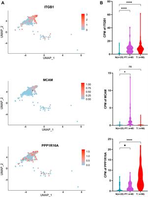 Single-cell transcriptome sequencing reveals potential novel combination of biomarkers for antibody-based cancer therapeutics in hepatocellular carcinoma